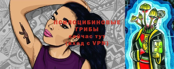 крисы Осташков