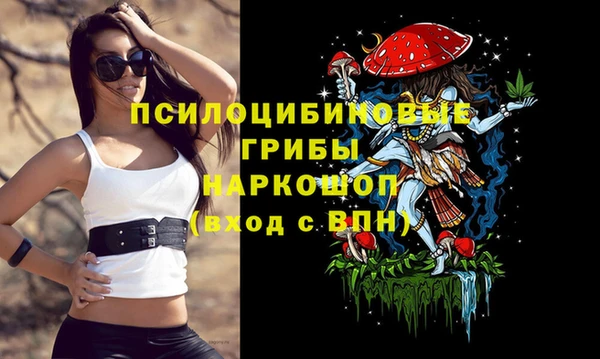 крисы Осташков