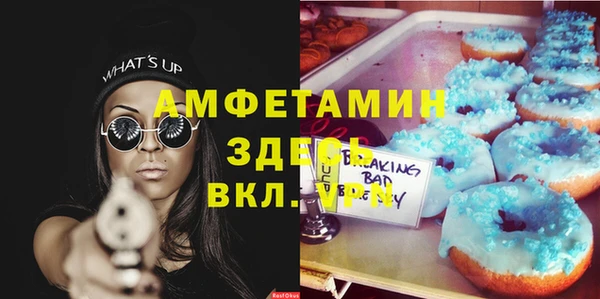 крисы Осташков