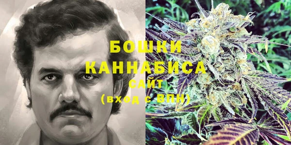 крисы Осташков